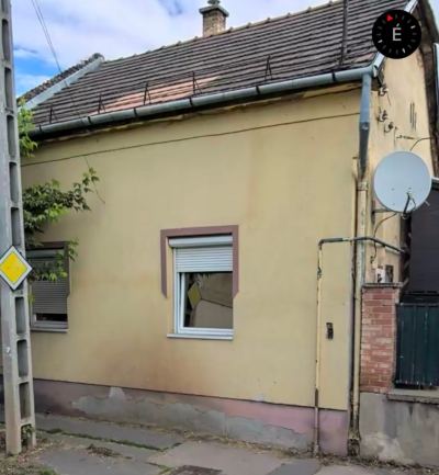 Janesz Janesz munkája