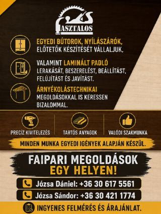 Józsa Dániel – Asztalos és bútorasztalos, Kárász